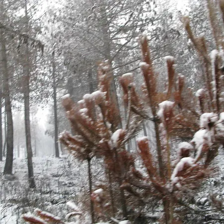 Casa De Santa Ana Da Beira Nocleg ze śniadaniem 3*