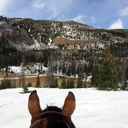 Casa De Santa Ana Da Beira Nocleg ze śniadaniem
