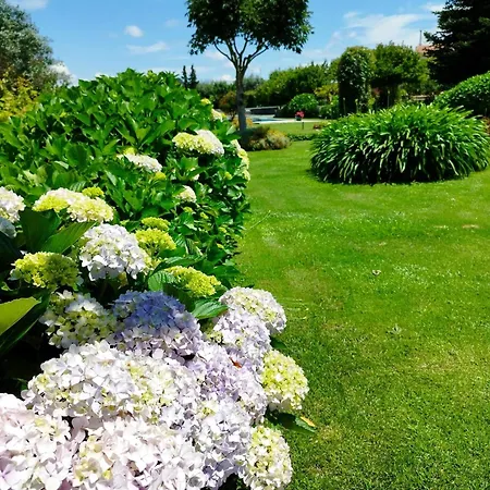 Casa De Santa Ana Da Beira Nocleg ze śniadaniem