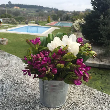 Nocleg ze śniadaniem Casa De Santa Ana Da Beira