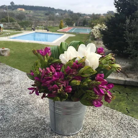 Casa De Santa Ana Da Beira Bed & Breakfast