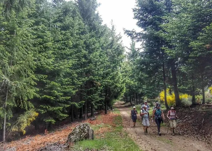 Casa De Santa Ana Da Beira Seia