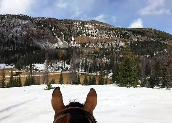Casa De Santa Ana Da Beira Alojamento de Acomodação e Pequeno-almoço