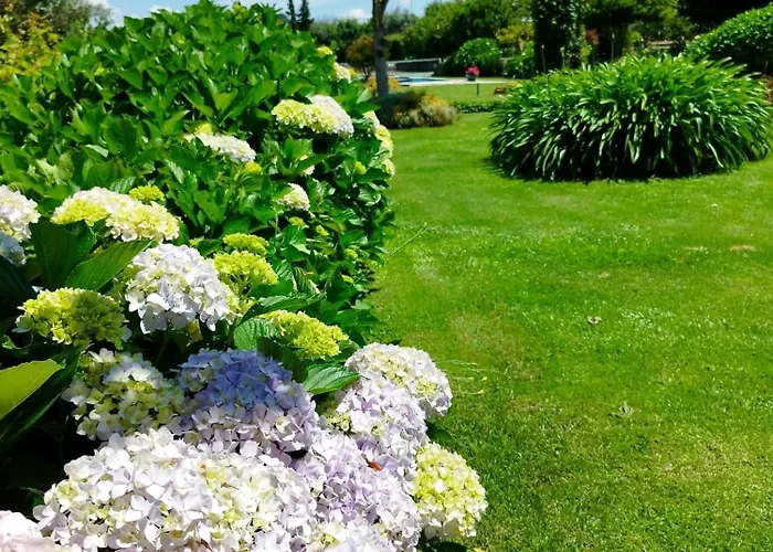 Casa De Santa Ana Da Beira Bed & Breakfast